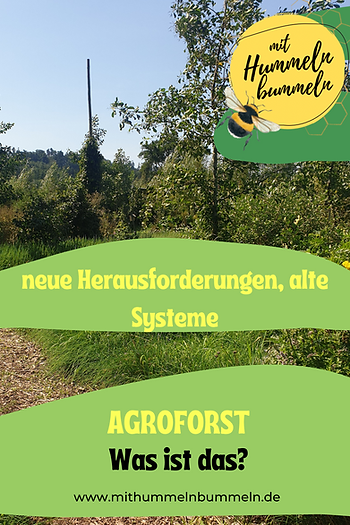 10fd3f ede5078c3ae84e749424df75c86e010d~mv2