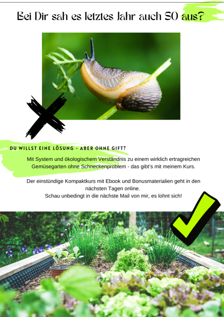 Onlinekurs: Schnecken im Naturgarten