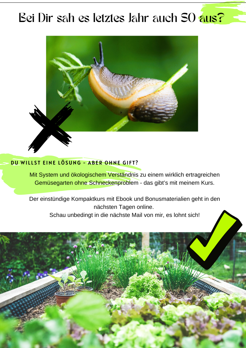 Onlinekurs Schluss mit Schneckenfrust"