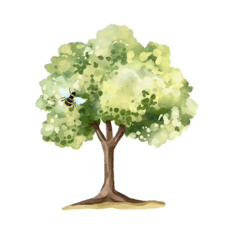 Baumpflege nach Oeschberg im Raum Augsburg