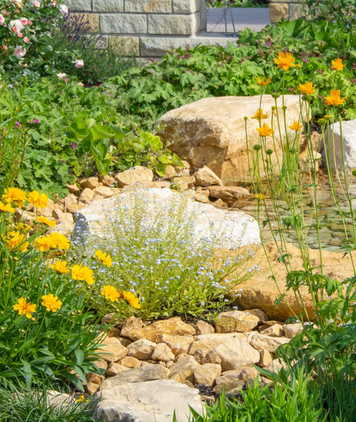 Ortsunabhängige Naturgarten-Beratung für Deine persönliche Situation