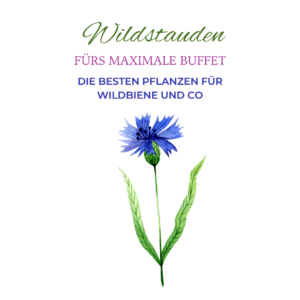 Wildstaude Vorschaubild