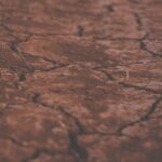 Gartenboden trocknet aus, weniger Gießen im Naturgarten