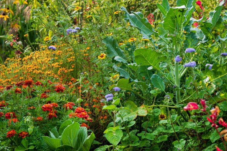 Summer,Permaculture,Garden,With,Nice,Flowers